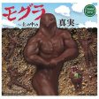 Tamakyu Mole The Truth in the Soil Set of 5 Figure Capsule Toy JAPAN OFFICIAL Discount