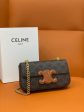 BC - CELINE BAGS - 1603 For Discount