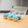 6-Cup High Top Hinged Plastic Cupcake Container Cake Box Online