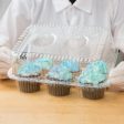 6-Cup High Top Hinged Plastic Cupcake Container Cake Box Online