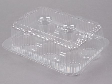 6-Cup High Top Hinged Plastic Cupcake Container Cake Box Online